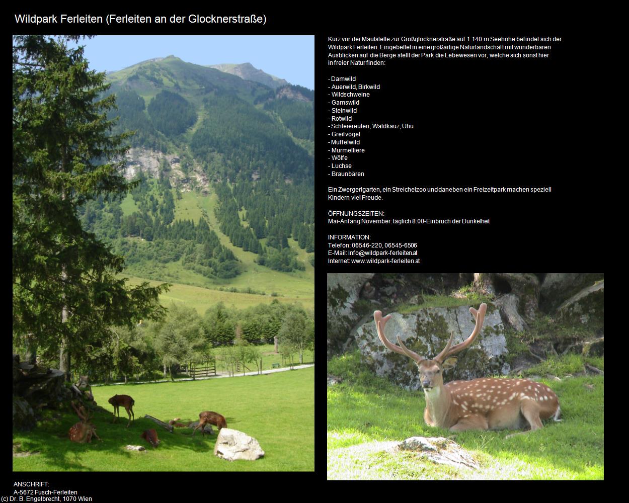 Wildpark (Ferleiten an der Glocknerstraße) in Kulturatlas-SALZBURG