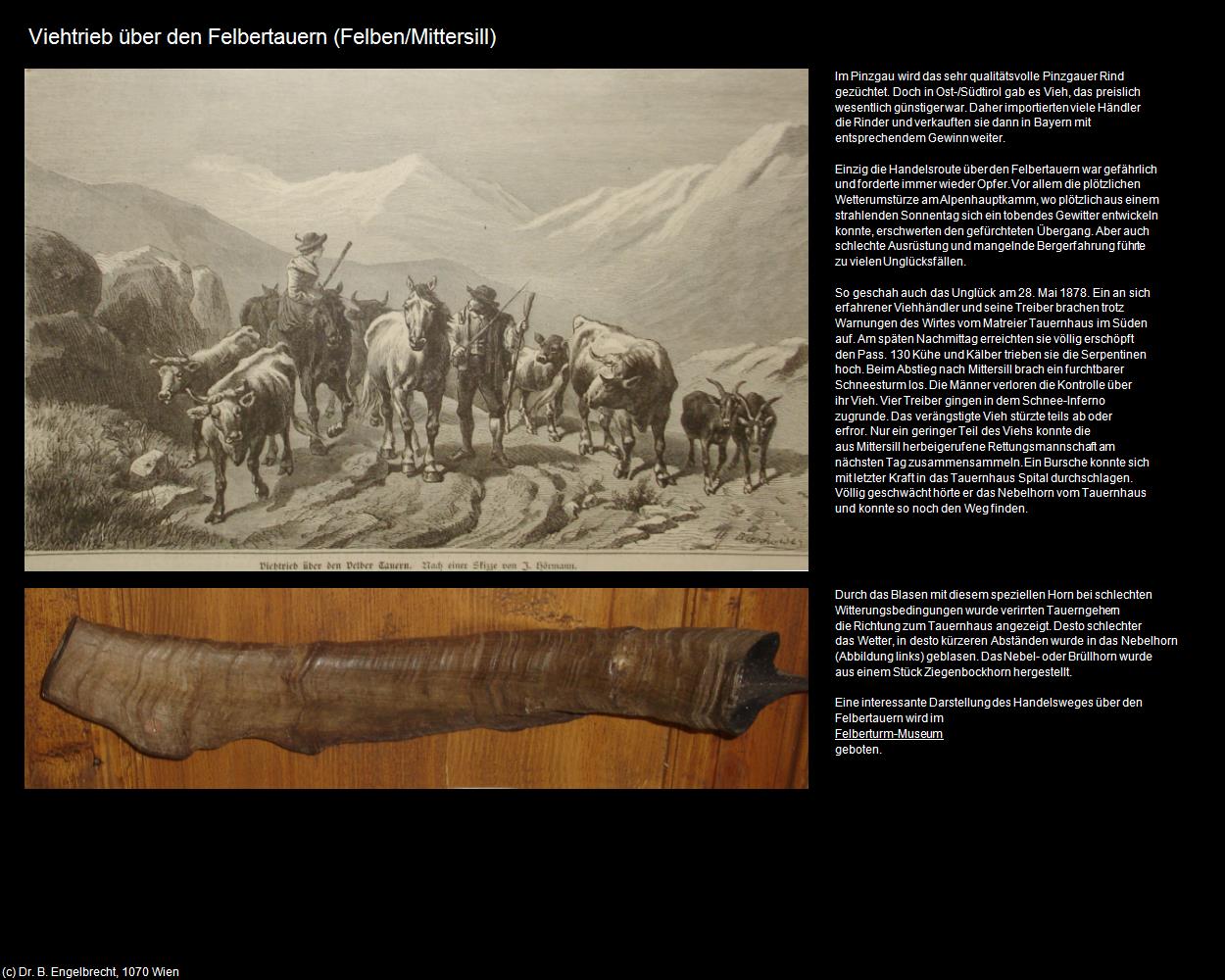 Viehtrieb über den Felbertauern (Felben/Mittersill) in Kulturatlas-SALZBURG(c)B.Engelbrecht