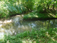 Südoststeirisches Grabenland (Bad Radkersburg)