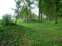 Hügelgräberfeld in Hummersdorf (Bad Radkersburg)