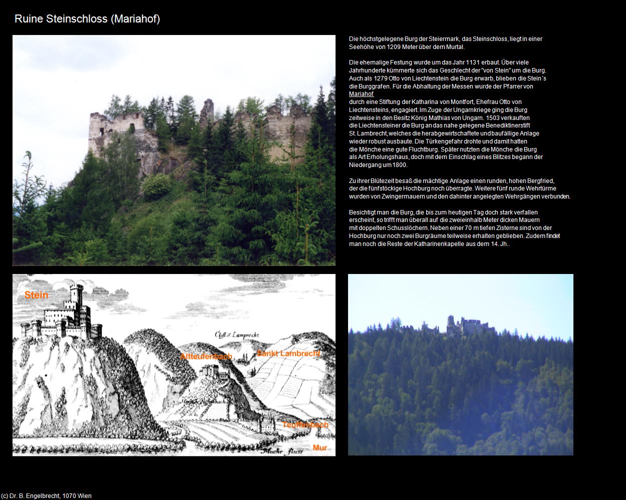 Ruine Steinschloss (Mariahof) in Kulturatlas-STEIERMARK(c)B.Engelbrecht