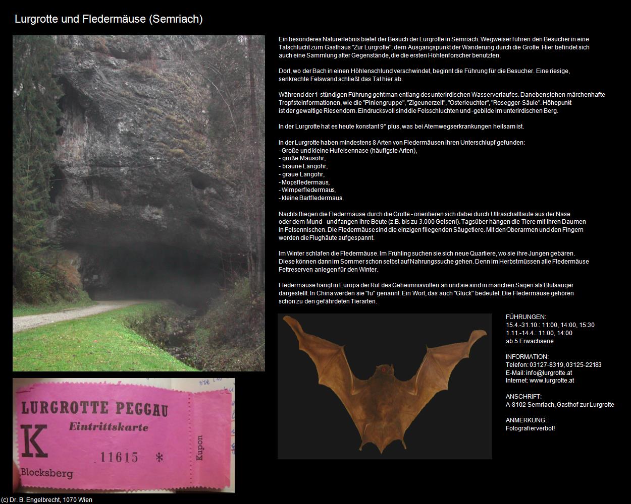 Lurgrotte und Fledermäuse (Semriach) in Kulturatlas-STEIERMARK