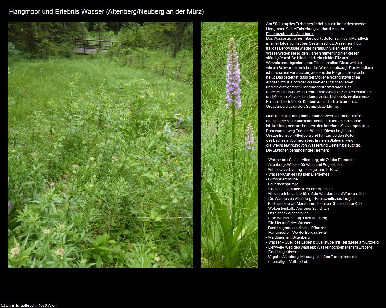 Hangmoor und Erlebnis Wasser  (Altenberg an der Rax/Neuberg an der Mürz) in Kulturatlas-STEIERMARK(c)B.Engelbrecht