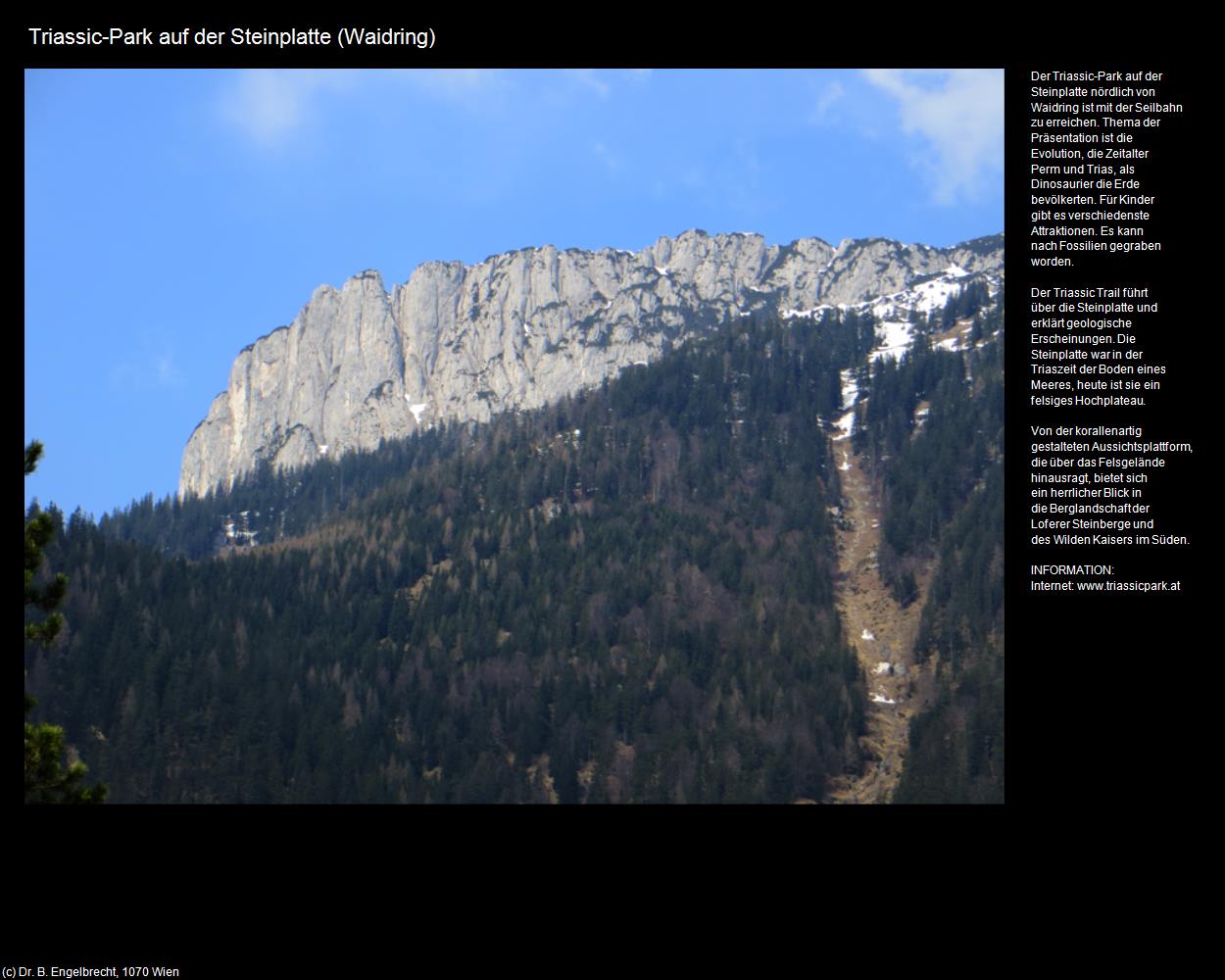 Triassic-Park (Waidring) in Kulturatlas-TIROL