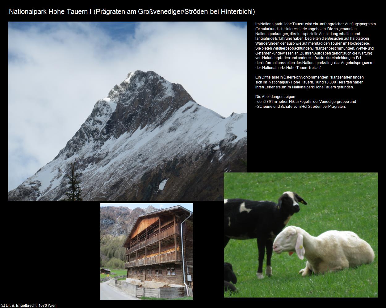 Nationalpark Hohe Tauern I (Ströden bei Hinterbichl) (Prägraten am Großvenediger) in Kulturatlas-TIROL