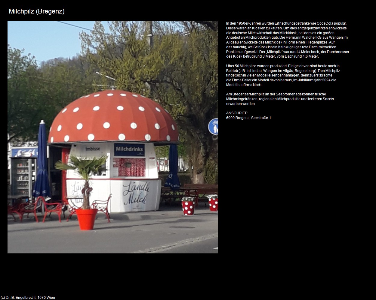 Milchpilz (Bregenz) in Kulturatlas-VORARLBERG