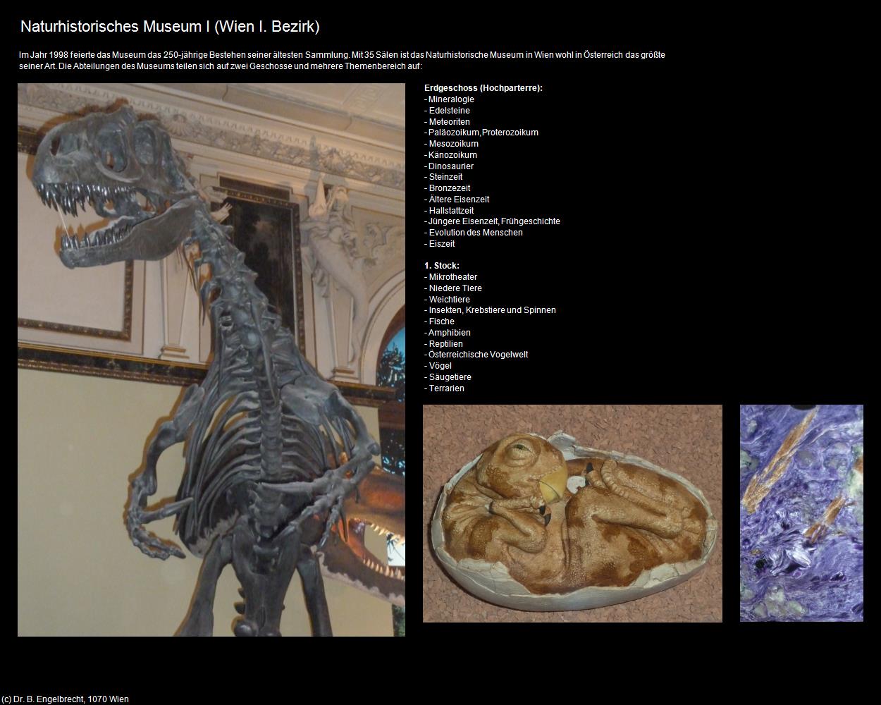 Naturhistorisches Museum I (I. Bezirk-Innere Stadt) in Kulturatlas-WIEN