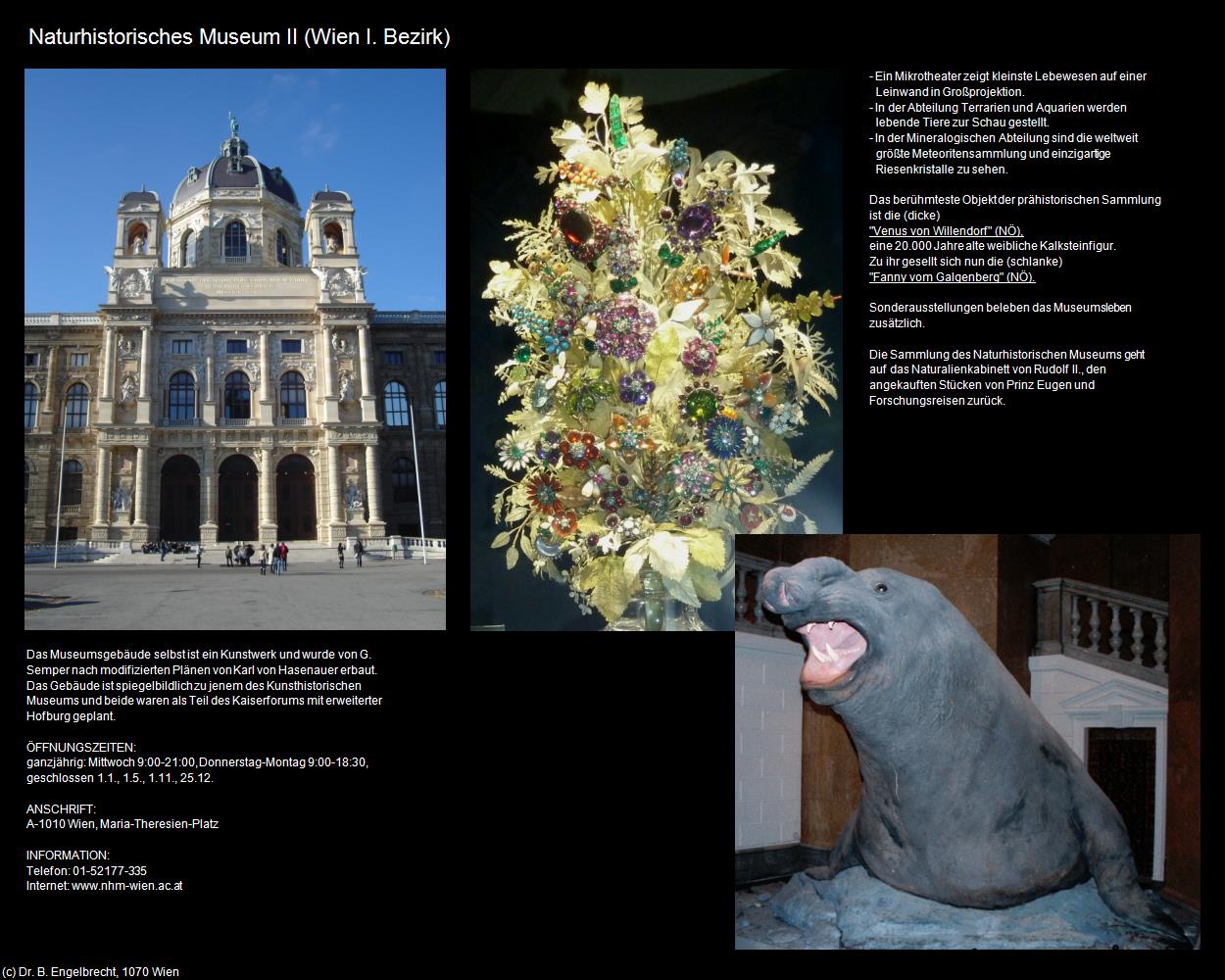 Naturhistorisches Museum II (I. Bezirk-Innere Stadt) in Kulturatlas-WIEN(c)B.Engelbrecht