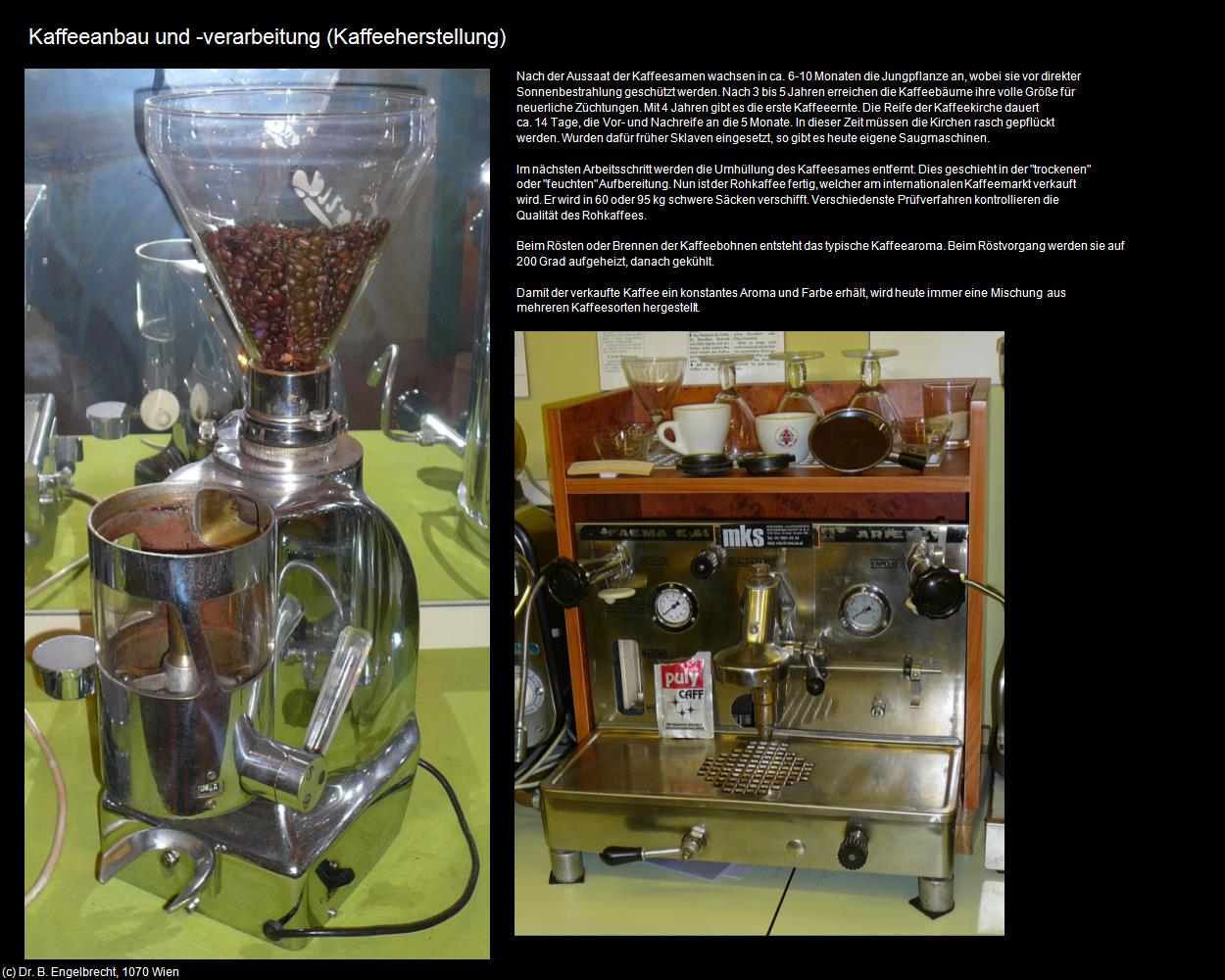 Kaffeeanbau und -verarbeitung (Kaffee-Herstellung) in Kulturatlas-WIEN
