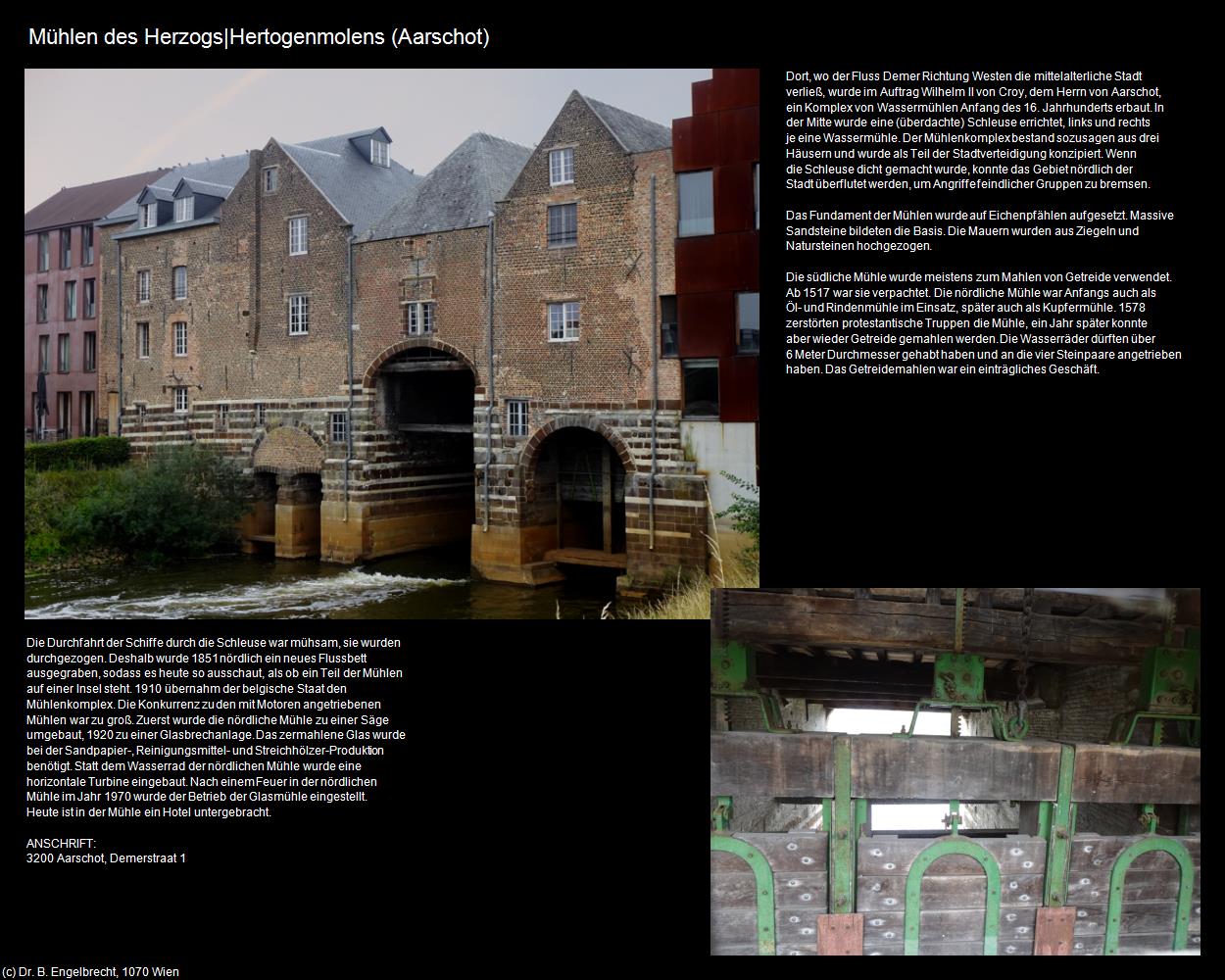 Hertogenmolens/Mühlen des Herzogs  (Aarschot) in Kulturatlas-BELGIEN