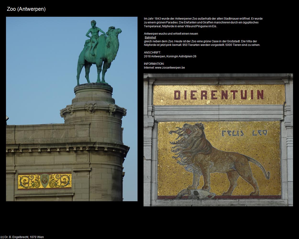 Zoo (Antwerpen) in Kulturatlas-BELGIEN(c)B.Engelbrecht