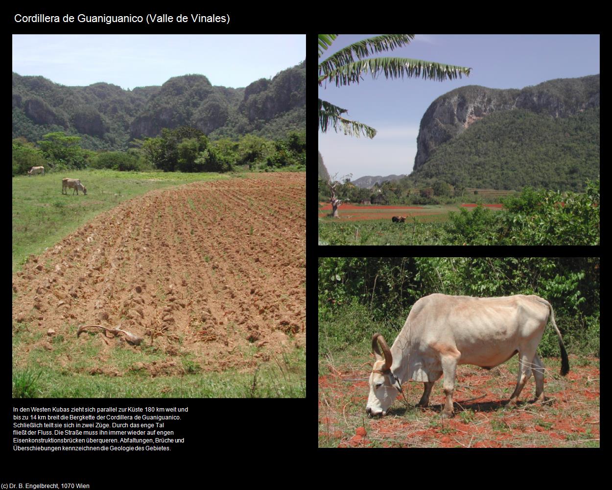 Cordillera de Guaniguanico (Valle de Vinales) in KUBA