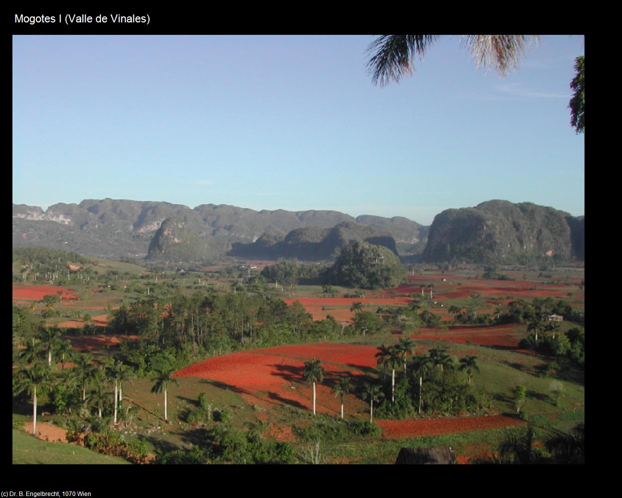 Mogotes I  (Valle de Vinales) in KUBA