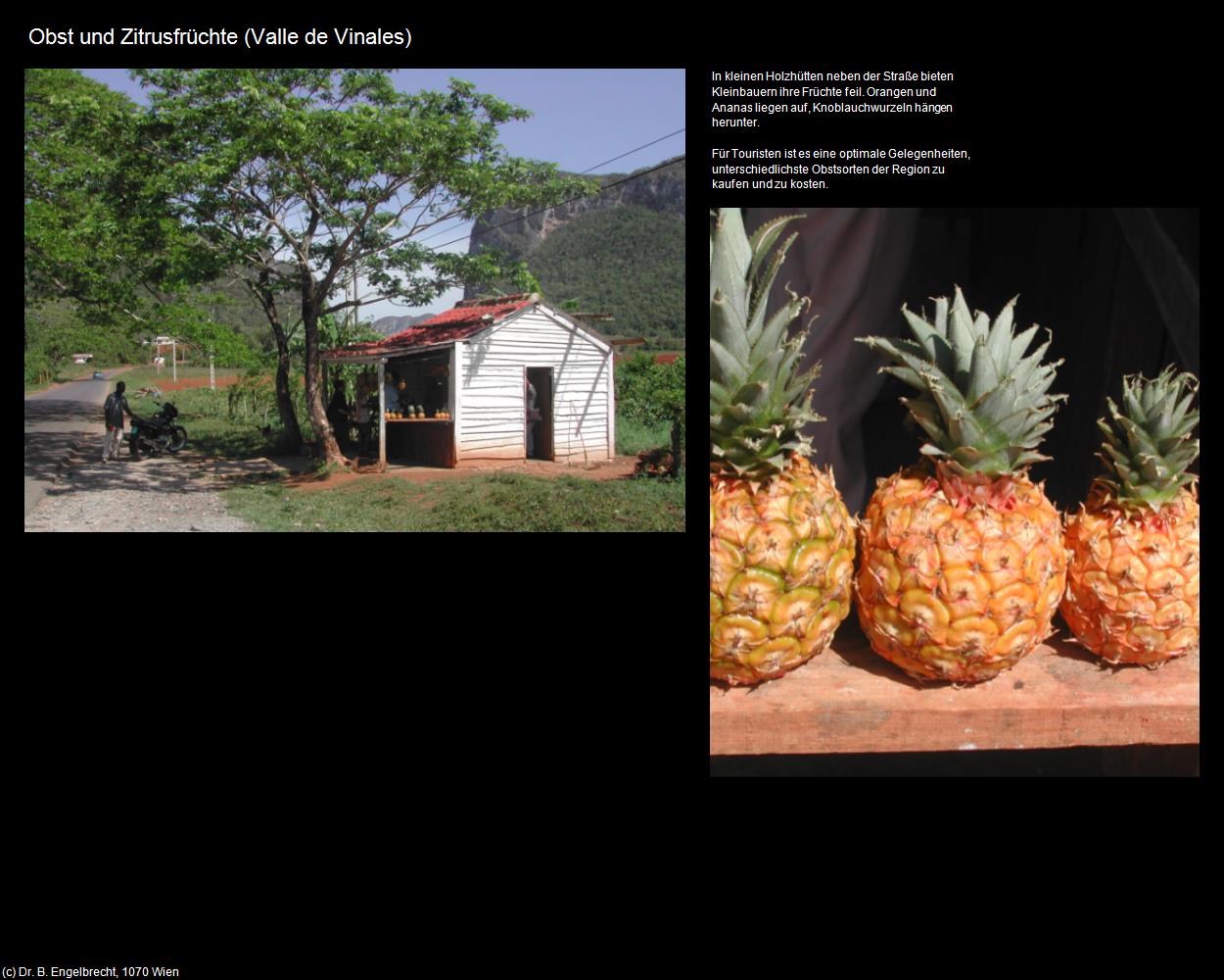 Obst und Zitrofrüchte (Valle de Vinales) in KUBA