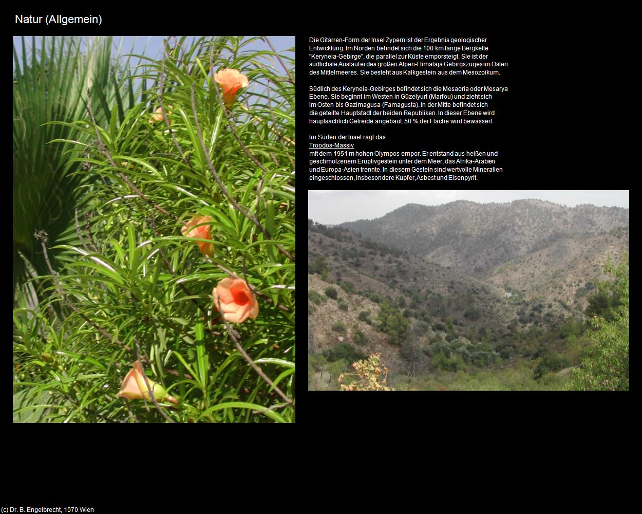 Natur (+Allgemein) in ZYPERN-Insel der Aphrodite(c)B.Engelbrecht