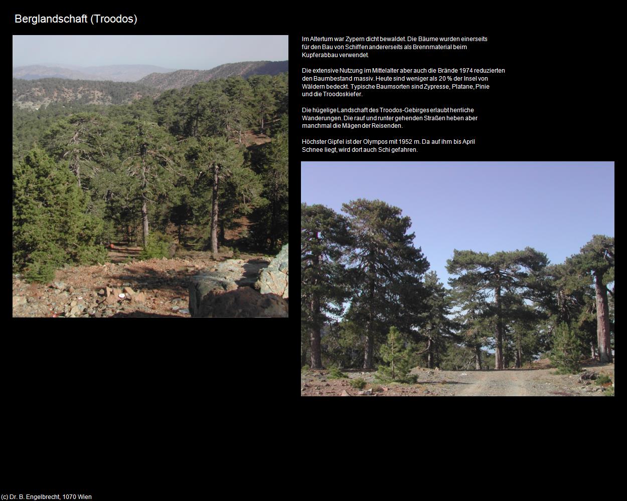 Berglandschaft (Troodos) in ZYPERN-Insel der Aphrodite