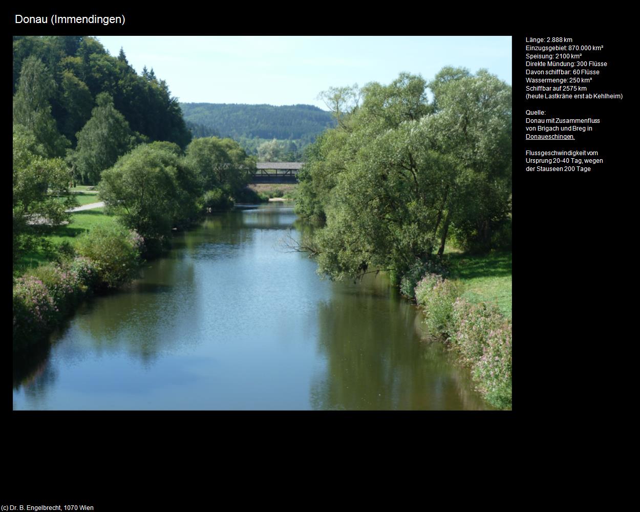 Donau (Geisingen) in Kulturatlas-BADEN-WÜRTTEMBERG(c)B.Engelbrecht