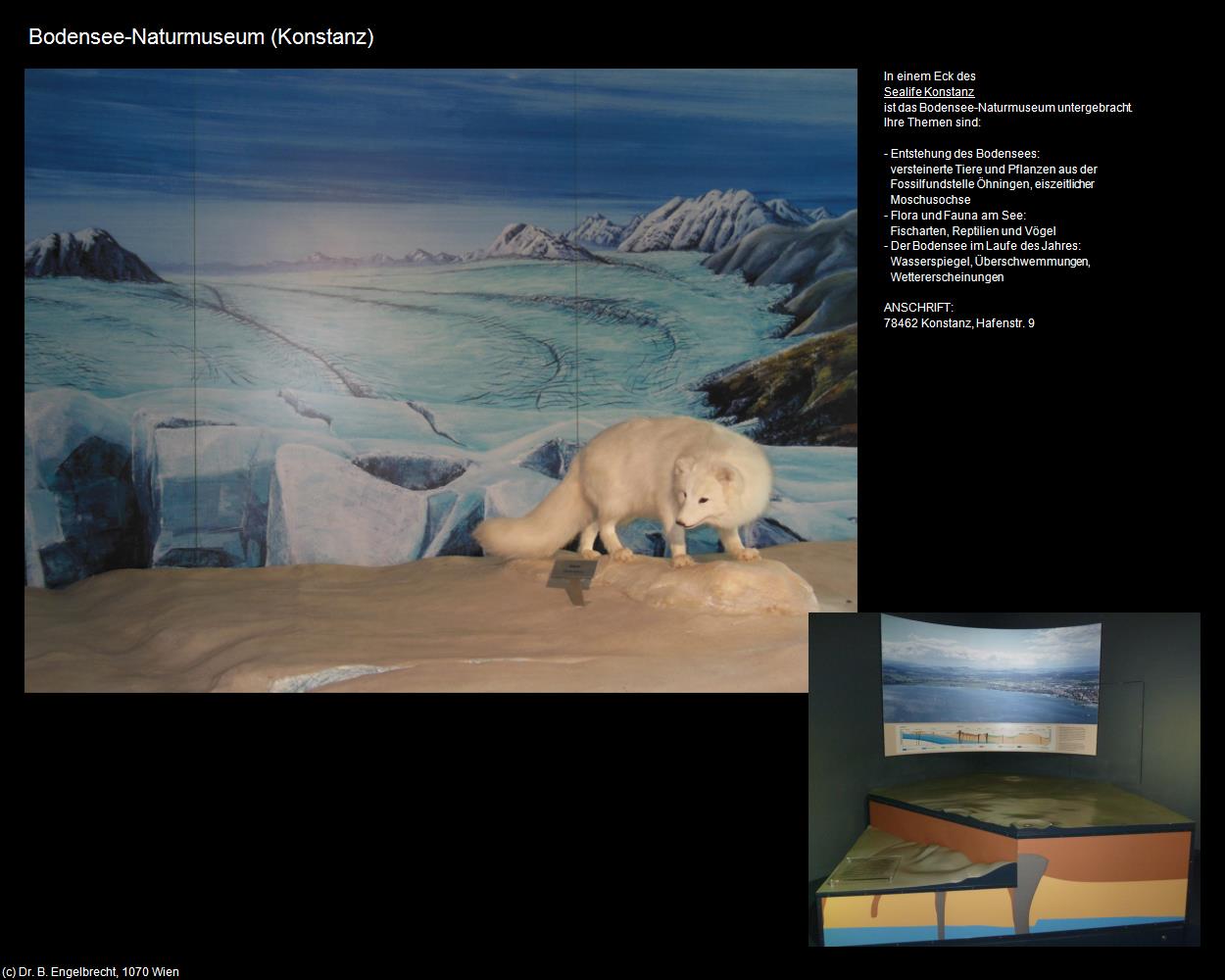 Bodensee-Naturmuseum  (Konstanz) in Kulturatlas-BADEN-WÜRTTEMBERG(c)B.Engelbrecht