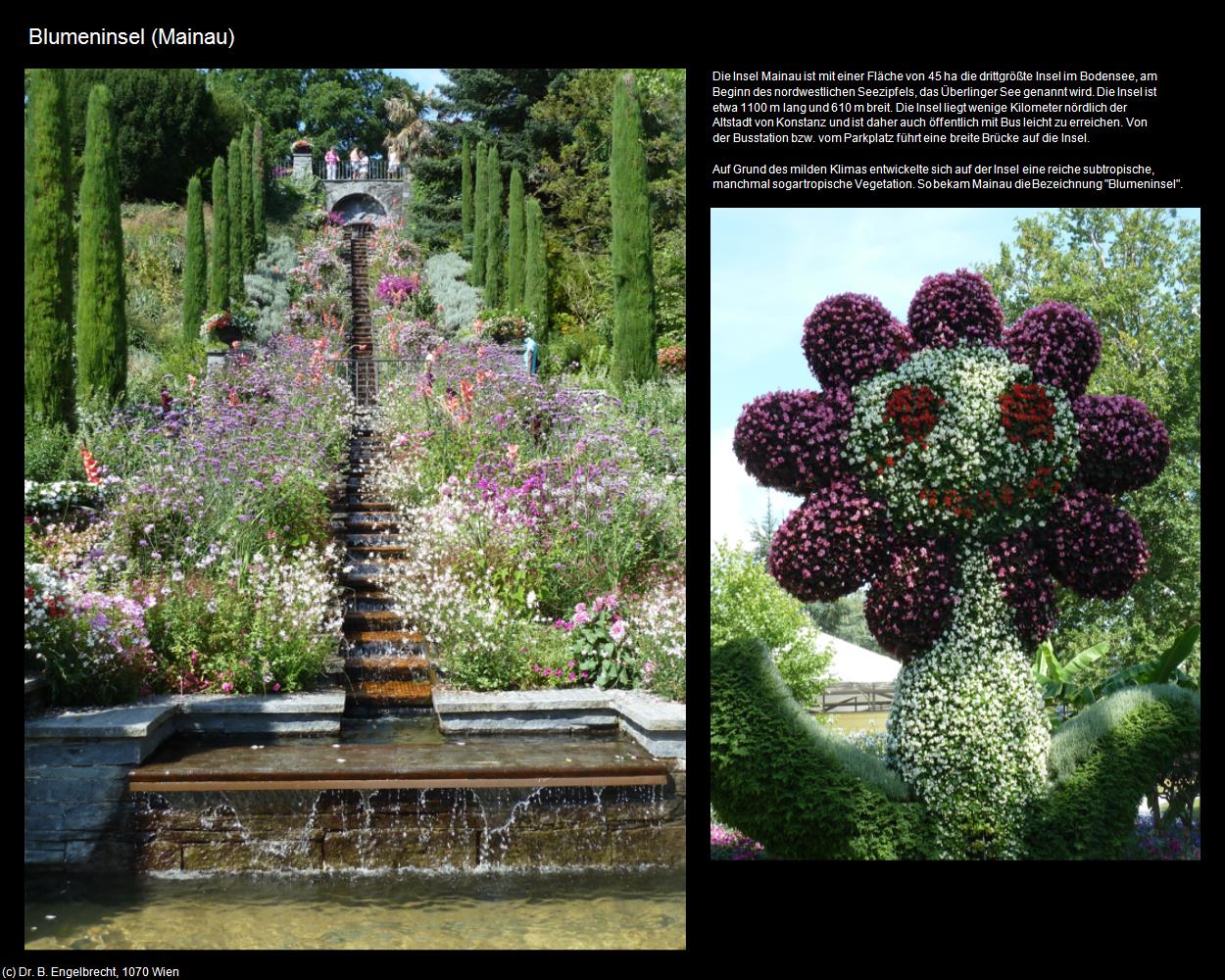 Blumeninsel (Mainau) in Kulturatlas-BADEN-WÜRTTEMBERG