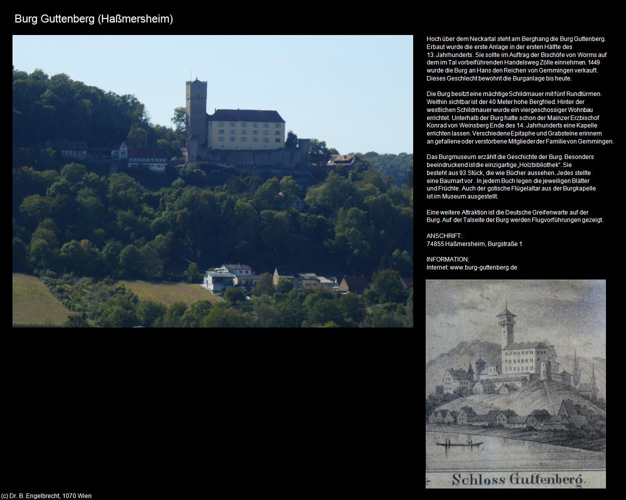 Burg Guttenberg (Haßmersheim) in Kulturatlas-BADEN-WÜRTTEMBERG