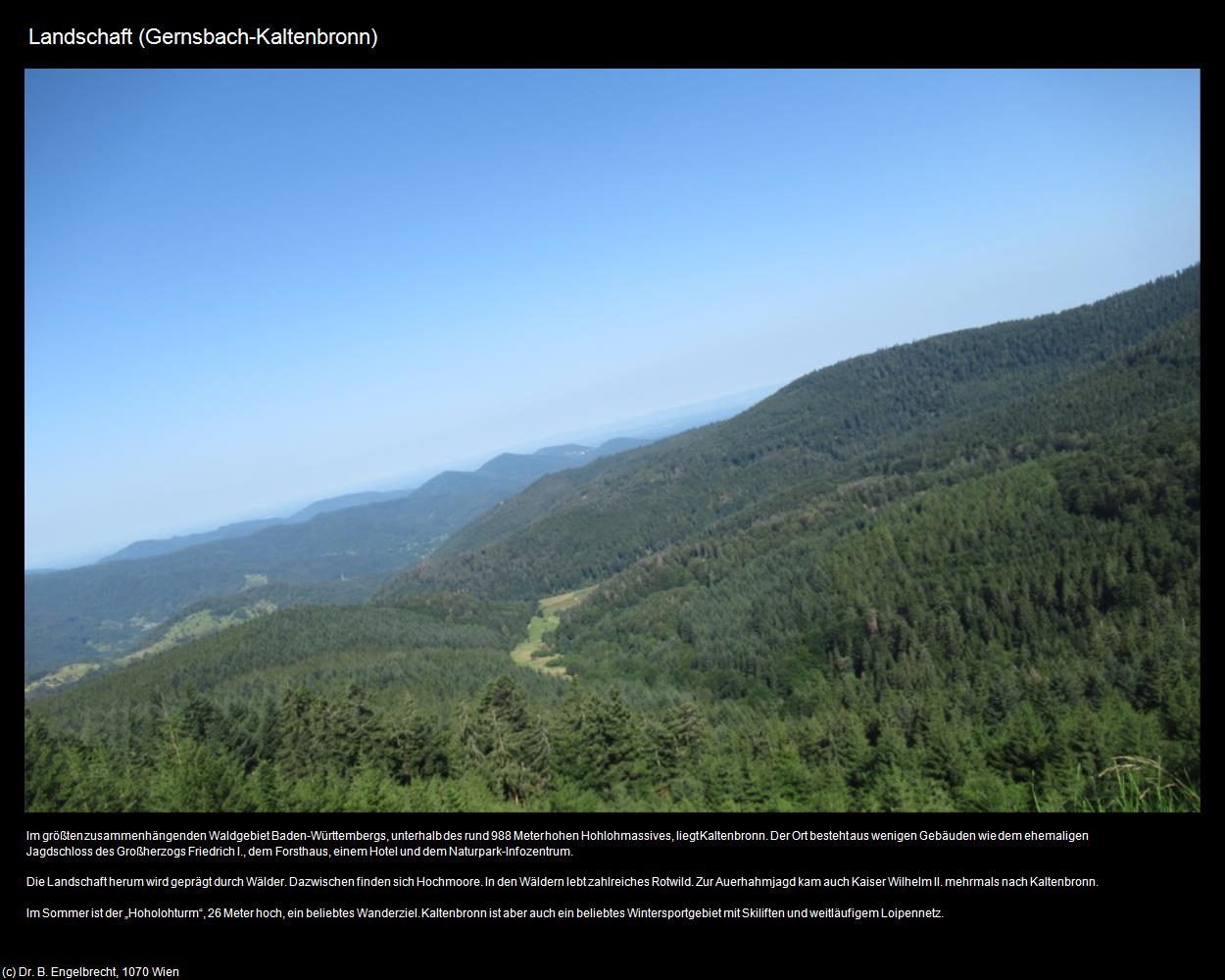 Landschaft (Kaltenbronn) in Kulturatlas-BADEN-WÜRTTEMBERG