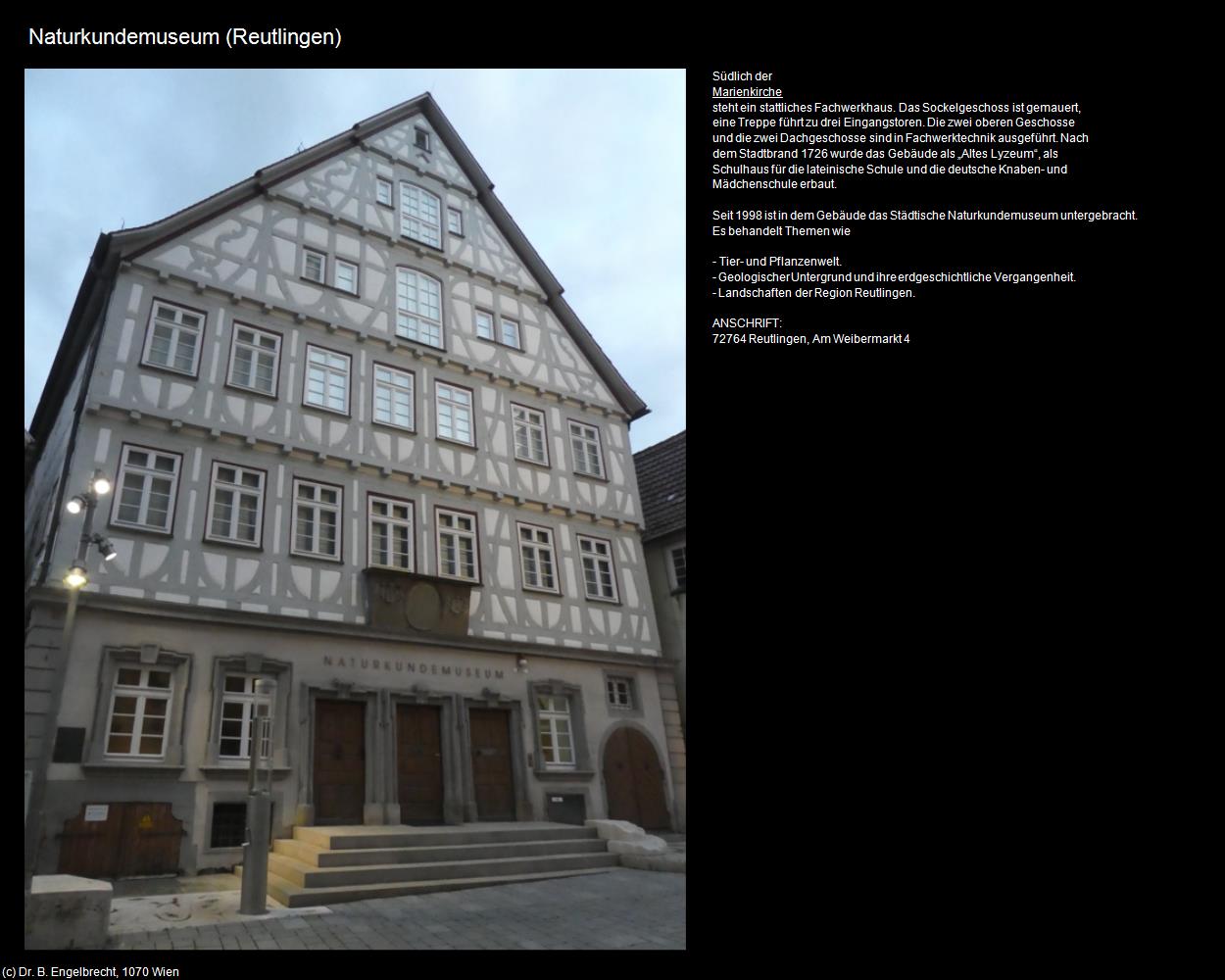 Naturkundemuseum (Reutlingen) in Kulturatlas-BADEN-WÜRTTEMBERG(c)B.Engelbrecht