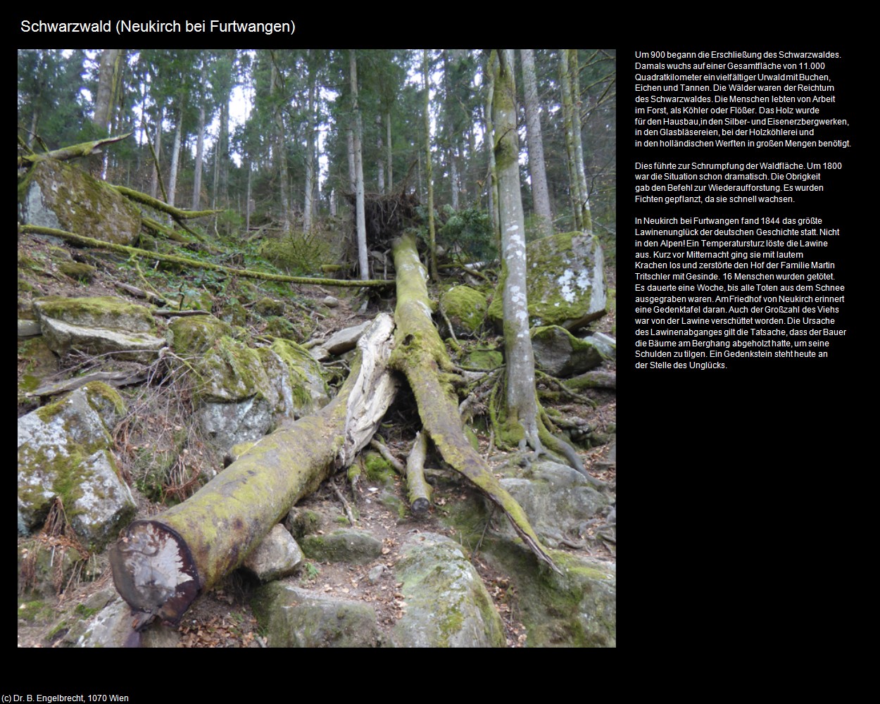 Schwarzwald (Neukirch) (Furtwangen) in Kulturatlas-BADEN-W&Uuml;RTTEMBERG