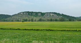 Naturschutzgebiet Eichenberg  (Kallm&uuml;nz)