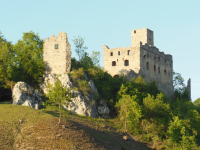 Burgruine Niederhaus und Hochhaus (H&uuml;rnheim)