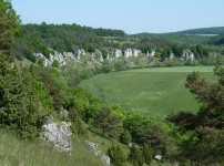 12 Apostel Felsen (E&szlig;lingen) (Dolnstein)