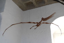 Archaeopteryx (Eichst&auml;tt)