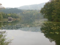 H&ouml;glw&ouml;rther See (Anger)