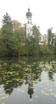 H&ouml;glw&ouml;rther See (Anger)