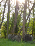 J&uuml;discher Friedhof (F&uuml;rth)