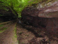 Geotop Seltenbachschlucht (Klingenberg am Main)