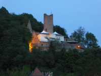 Ruine Scherenburg   (Gem&uuml;nden am Main)