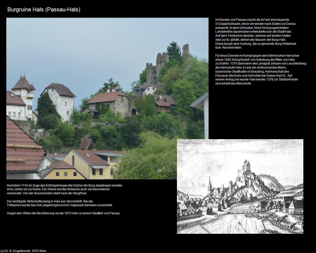 Burgruine Hals (Hals) (Passau) in Kulturatlas-BAYERN