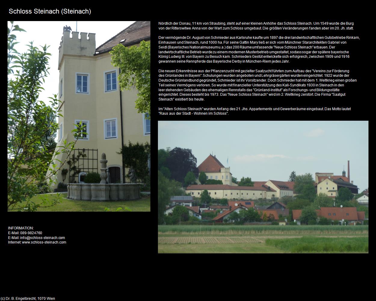 Schloss Steinach (Steinach) in Kulturatlas-BAYERN