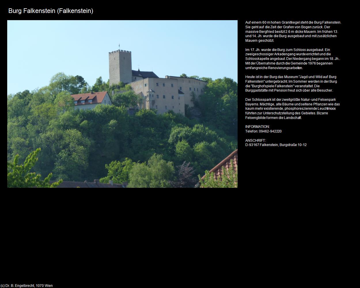 Burg (Falkenstein) in Kulturatlas-BAYERN