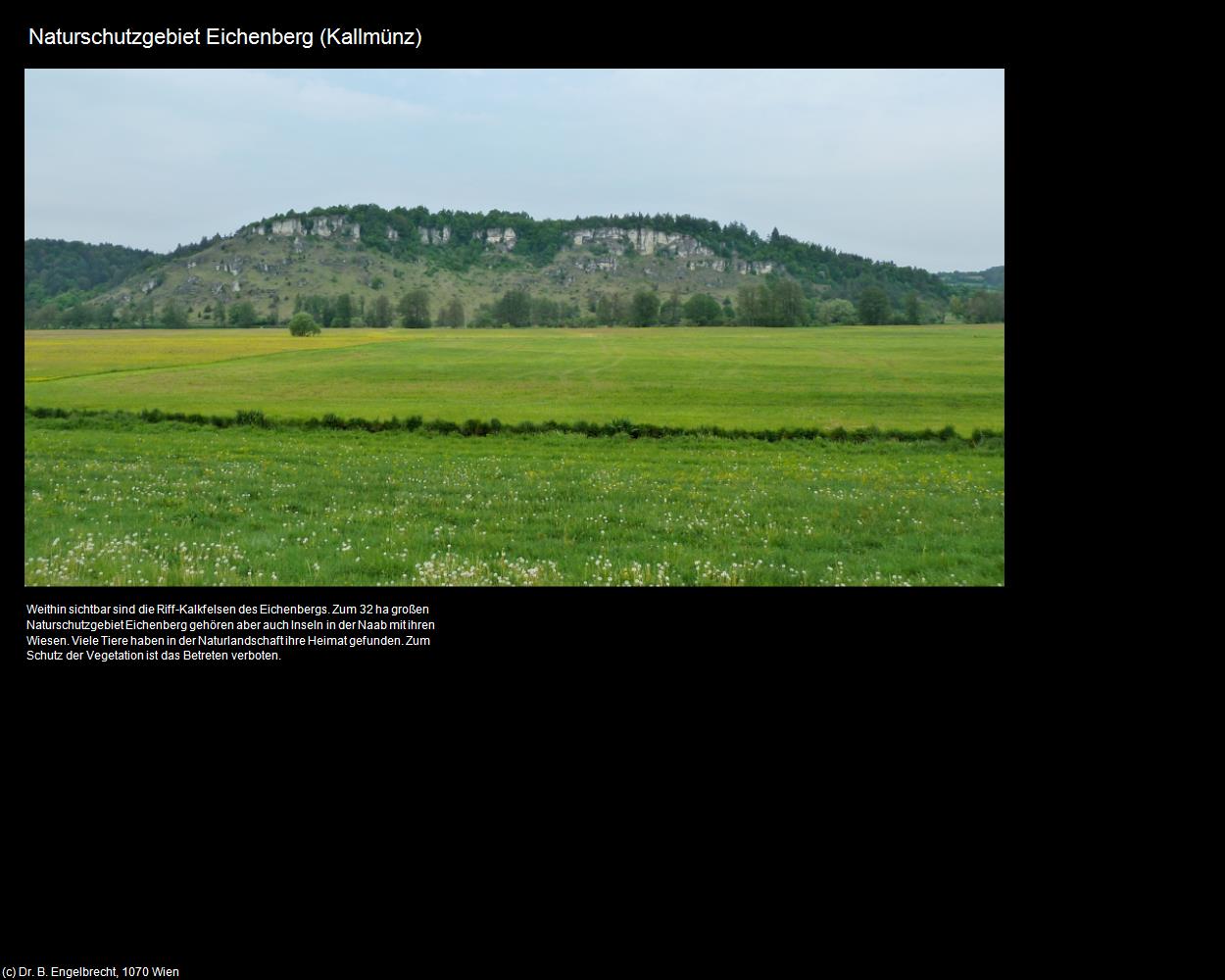 Naturschutzgebiet Eichenberg  (Kallmünz) in Kulturatlas-BAYERN