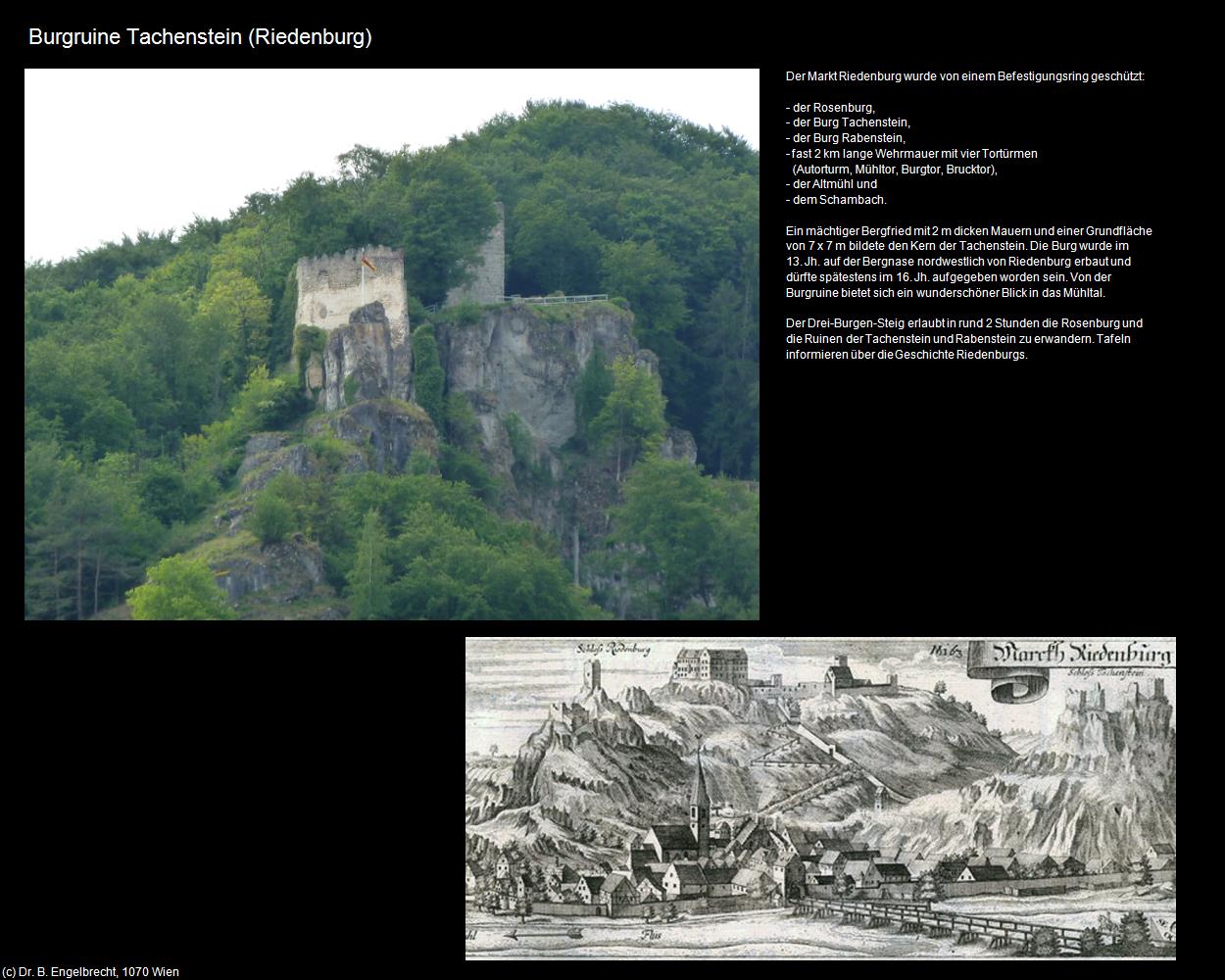 Burgruine Tachenstein  (Riedenburg) in Kulturatlas-BAYERN