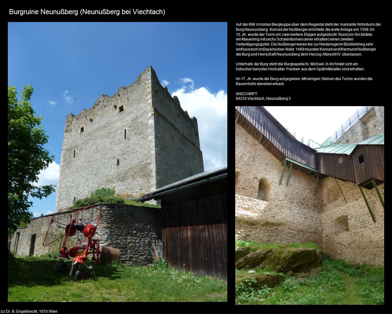 Burgruine Neunußberg (Neunußberg bei Viechtach) in Kulturatlas-BAYERN