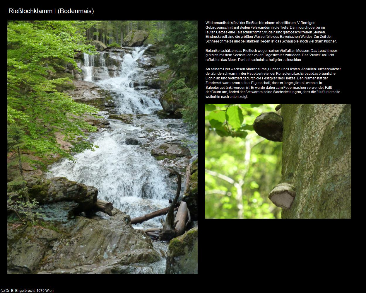 Rießlochklamm I (Bodenmais) in Kulturatlas-BAYERN