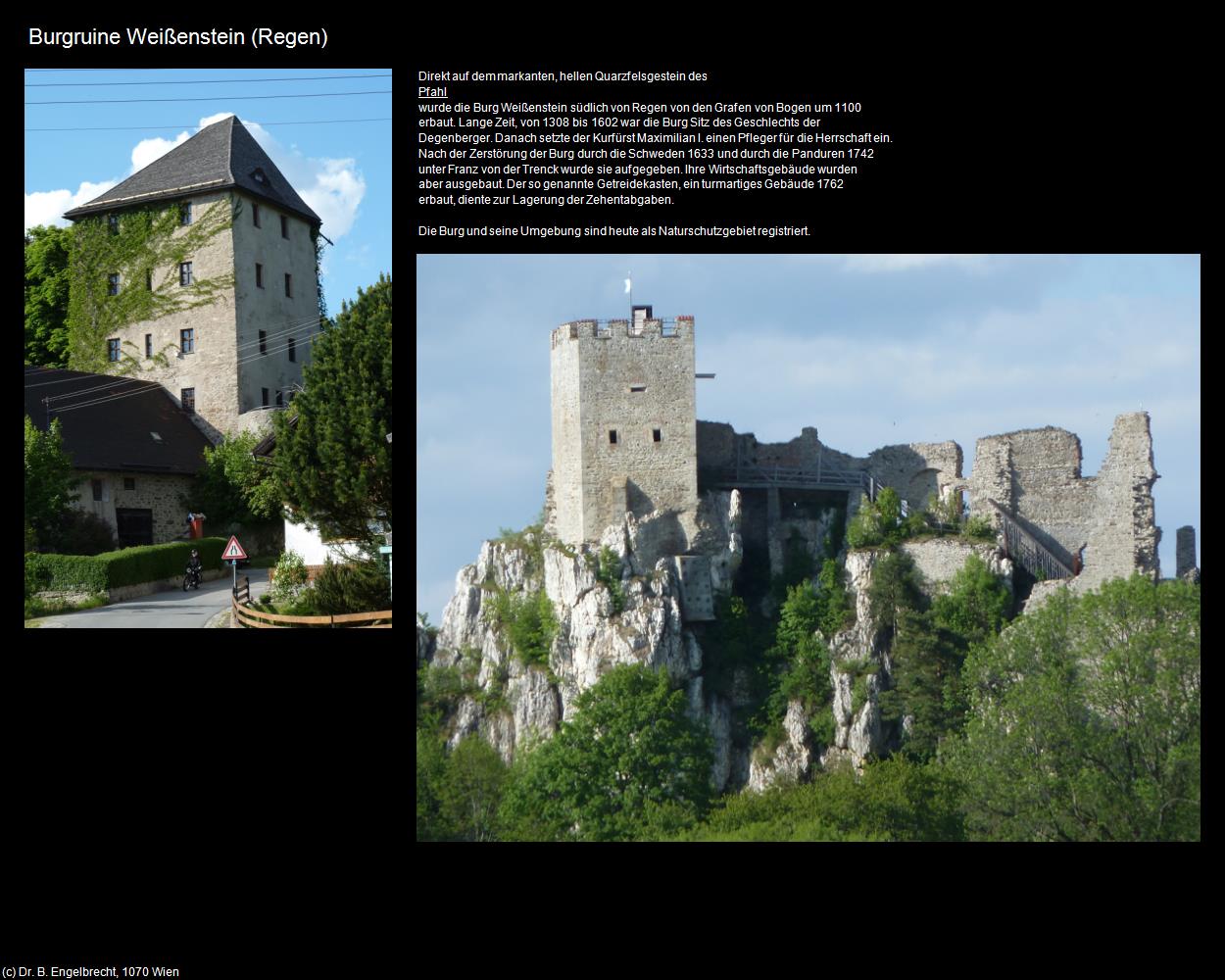 Burgruine Weißenstein (Regen) in Kulturatlas-BAYERN(c)B.Engelbrecht