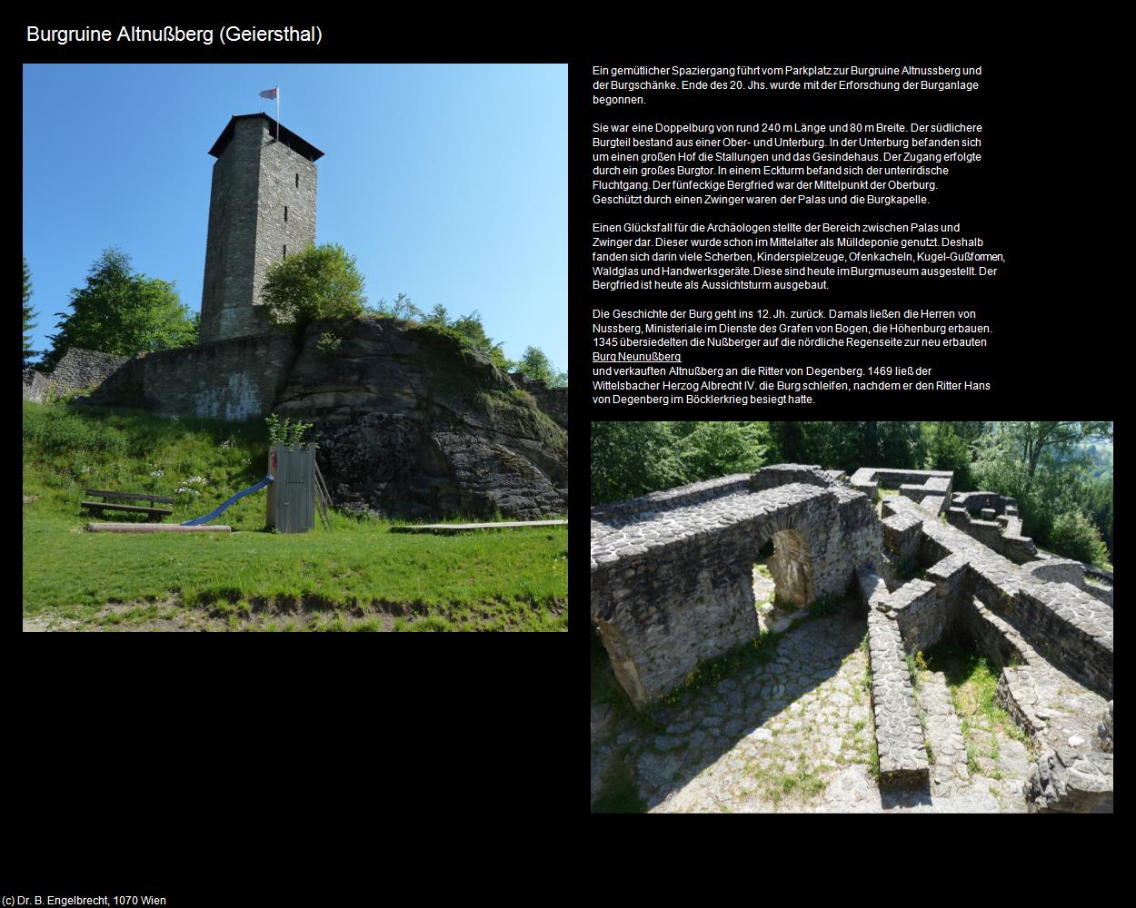 Burgruine Altnußberg (Geiersthal) in Kulturatlas-BAYERN(c)B.Engelbrecht