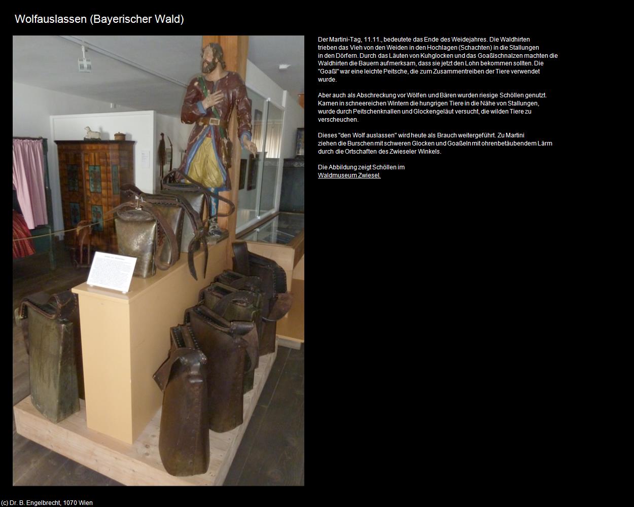 Wolfauslassen (Bayerischer Wald) in Kulturatlas-BAYERN(c)B.Engelbrecht