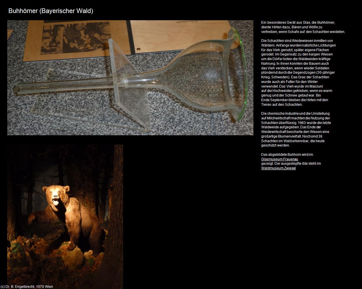 Buhhörner (Bayerischer Wald) in Kulturatlas-BAYERN(c)B.Engelbrecht