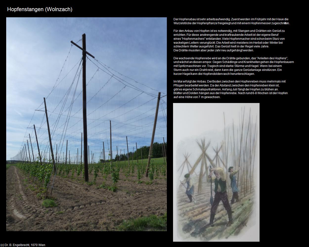 Hopfenstangen (Wolnzach) in Kulturatlas-BAYERN