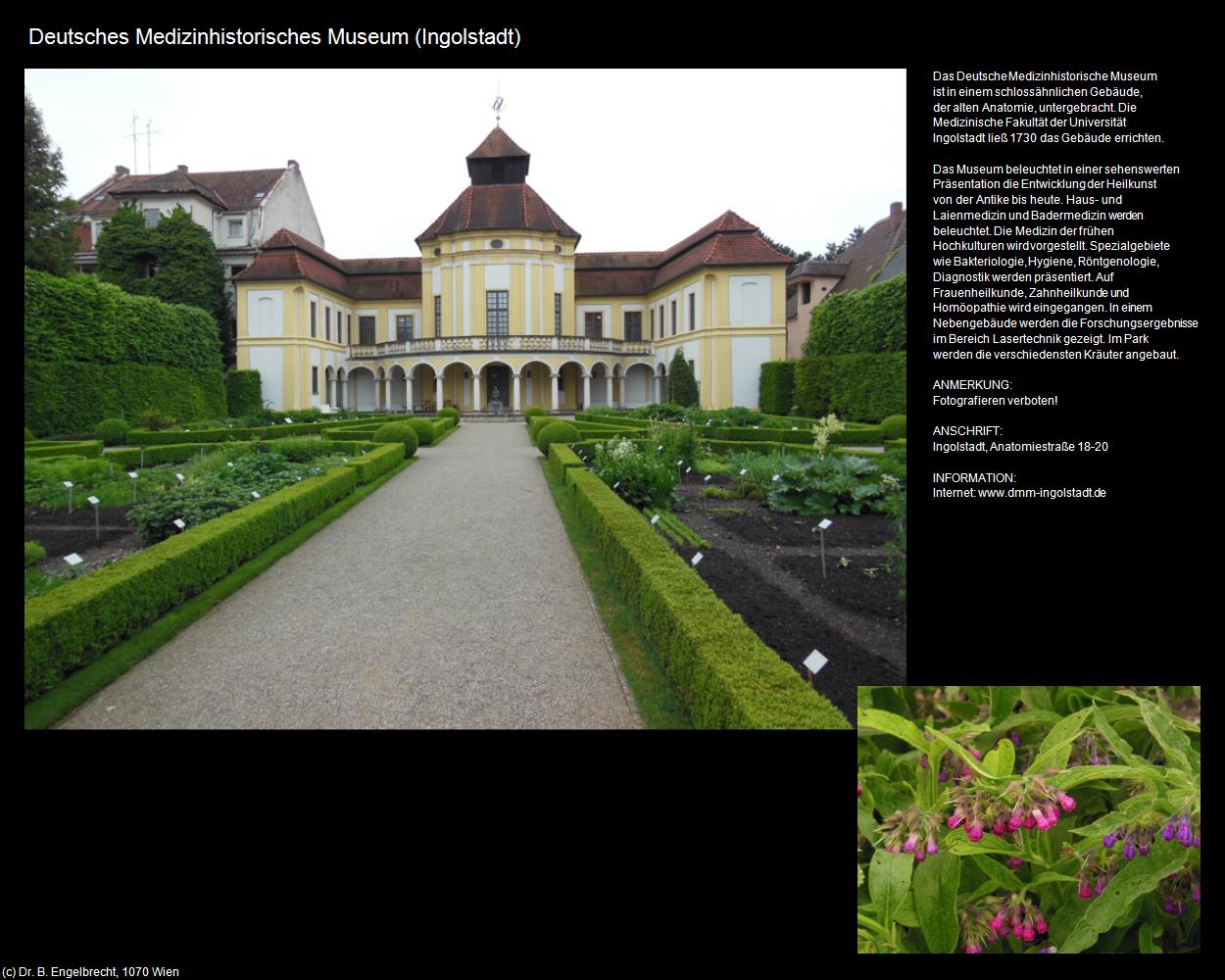 Medizinhistorisches Museum  (Ingolstadt) in Kulturatlas-BAYERN