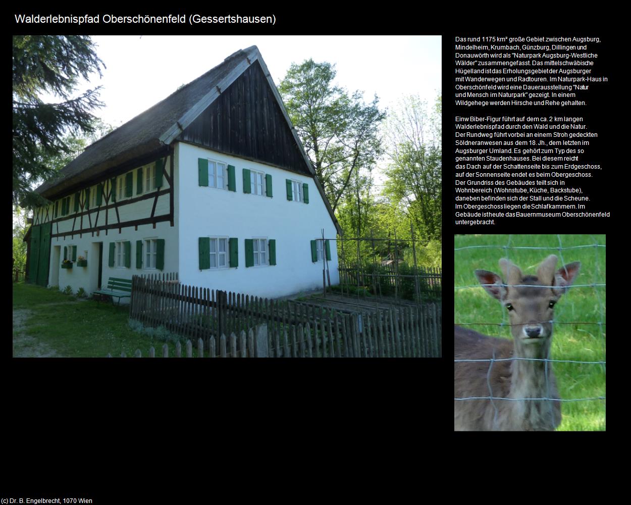 Walderlebnispfad Oberschönenfeld (Oberschönenfeld bei Gessertshausen) in Kulturatlas-BAYERN